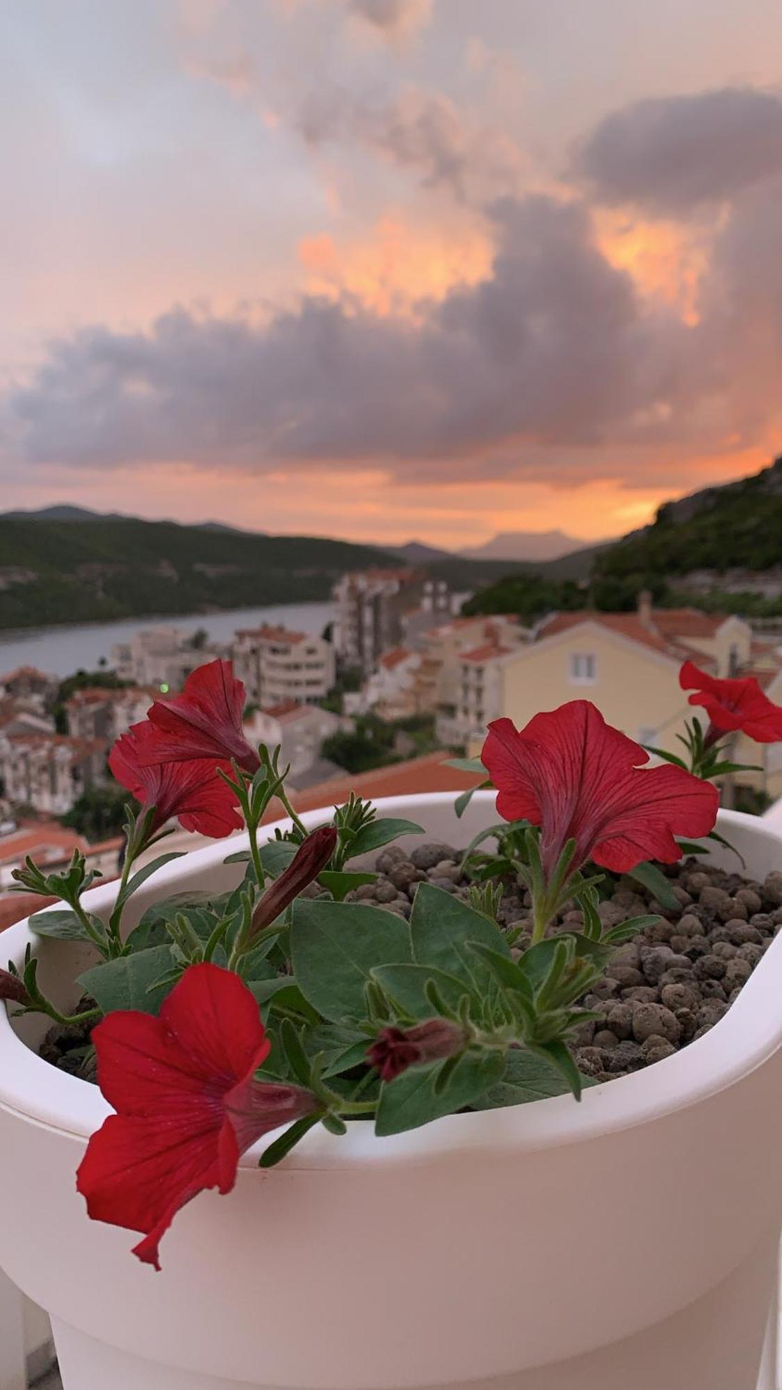 Hotel Ami - M Neum Exterior foto